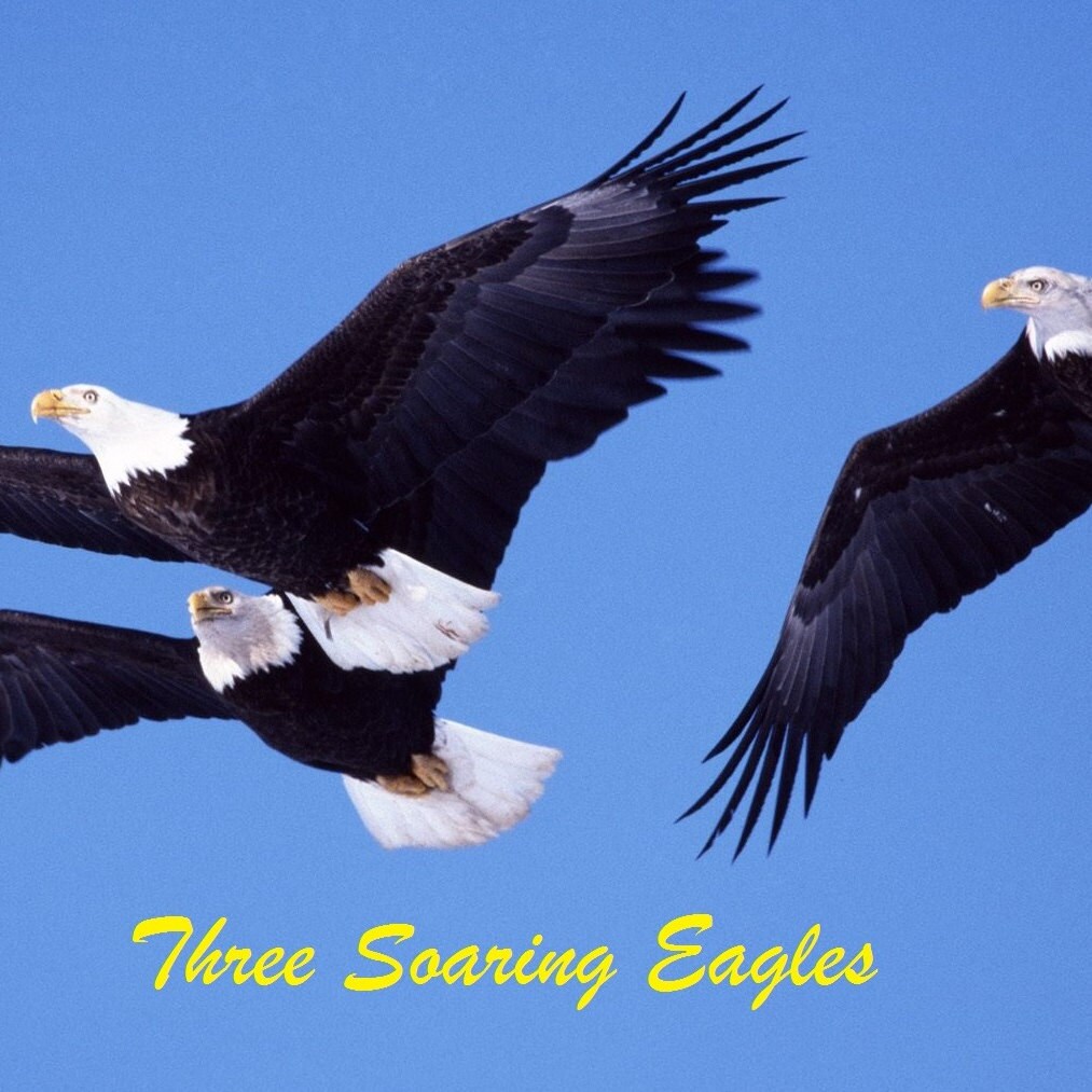 ThreeSoaringEagles Etsy