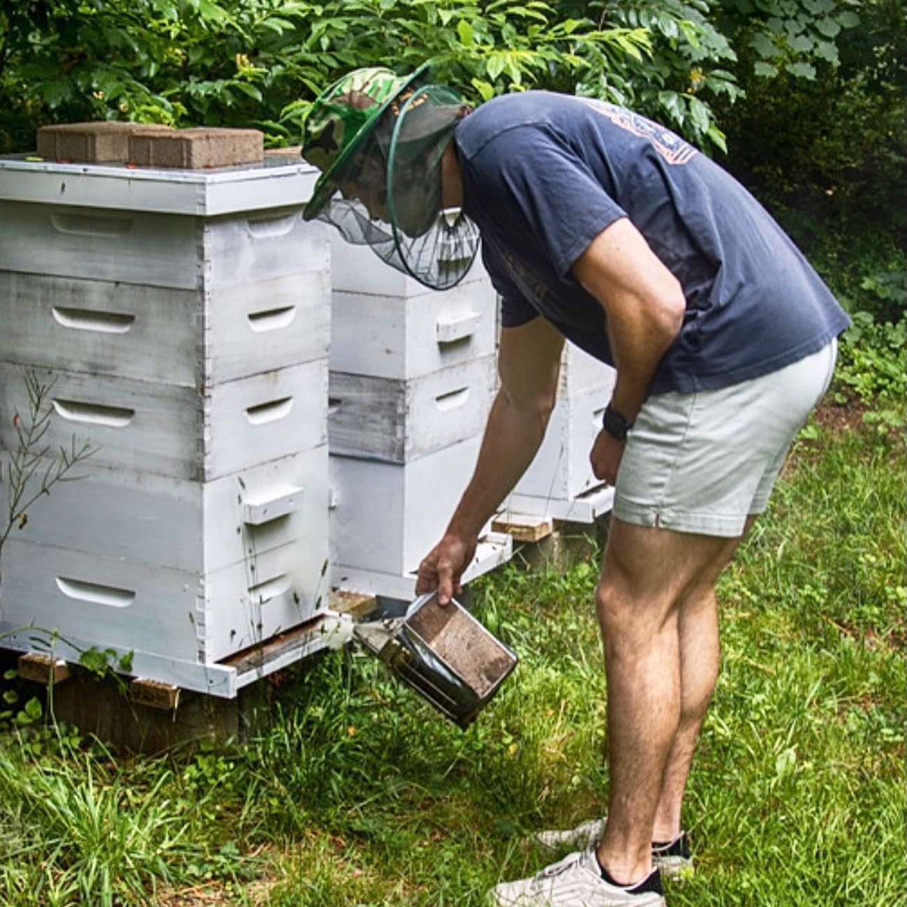 JGS Beekeeping