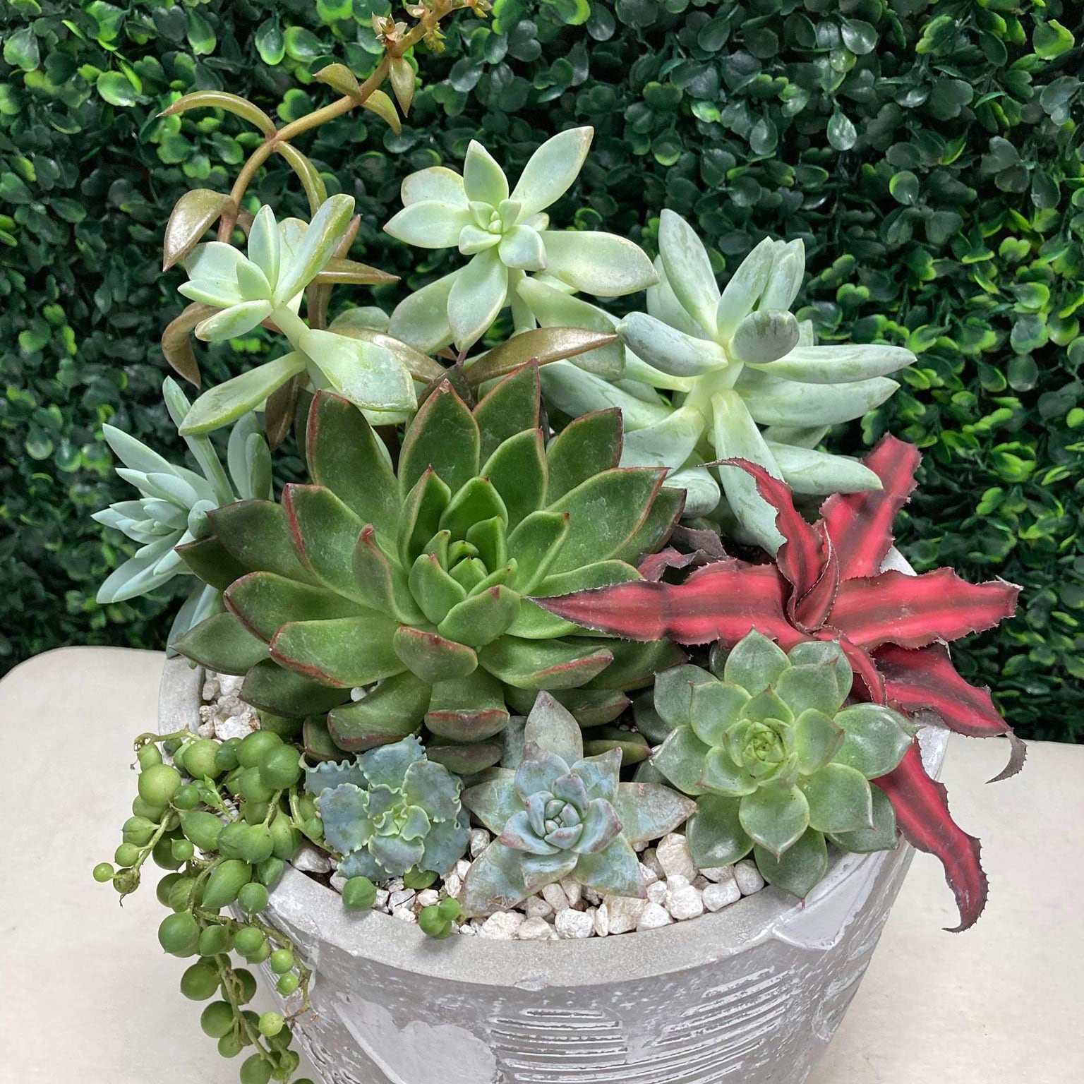 Indoor Planters Plants are My Happy Place Planter Office Desk