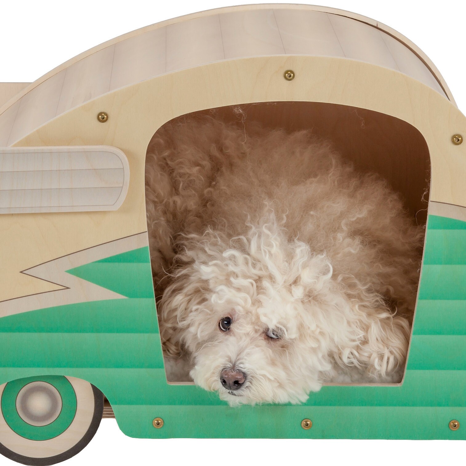 camper dog bed