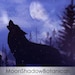 MoonShadowBotanicals