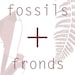 FossilsAndFronds