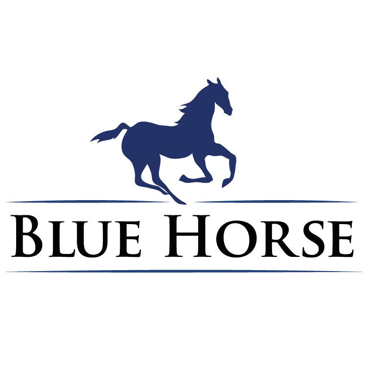 blue horse caddy for aeropress coffee maker