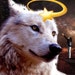 Samantha Red Wolf