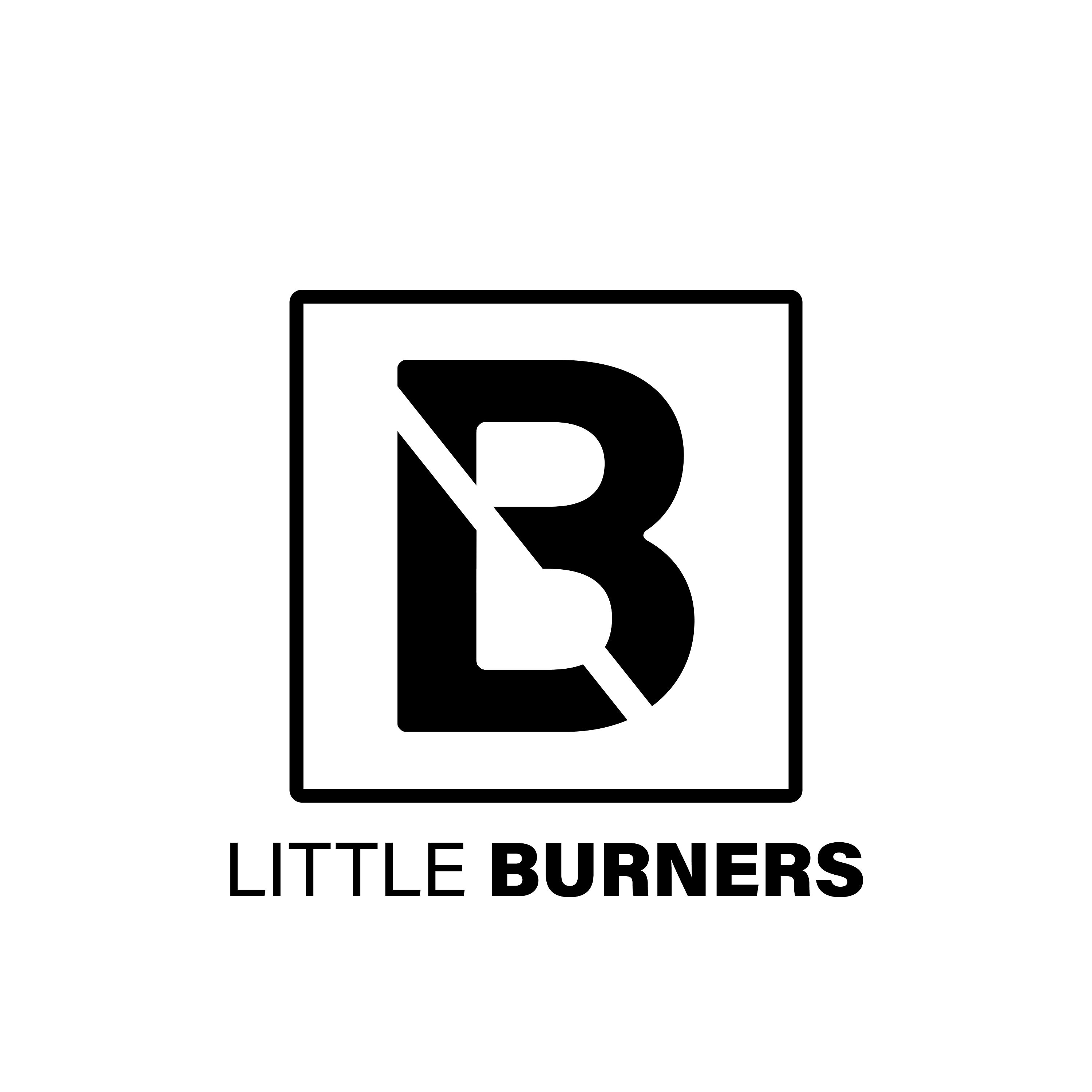 Little Lenny Burner Small Wood Stove. Littleburners.com - Etsy