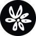 magmagnolia