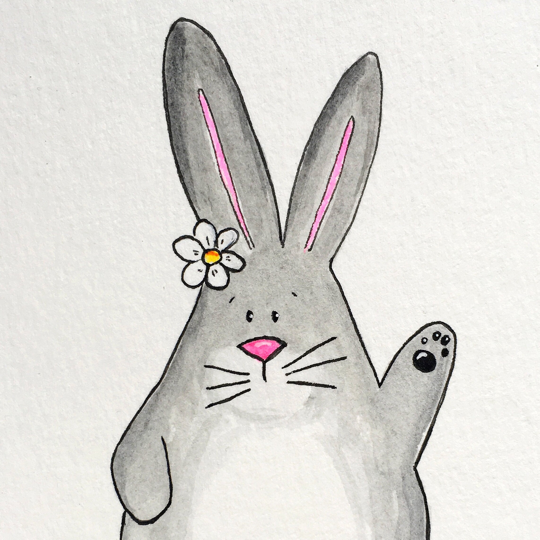 Dreabunny