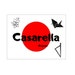 Casarella Origami