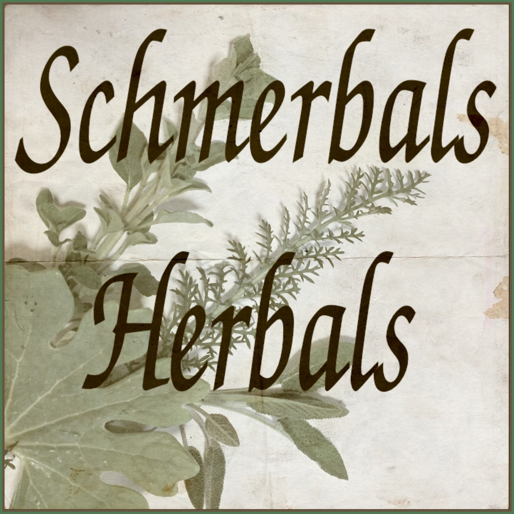 Zornia latifolia 1 kg Organic 50X Powder Extract ~ Sacred Herbs and Spices from Schmerbals Herbals Maconha Brava