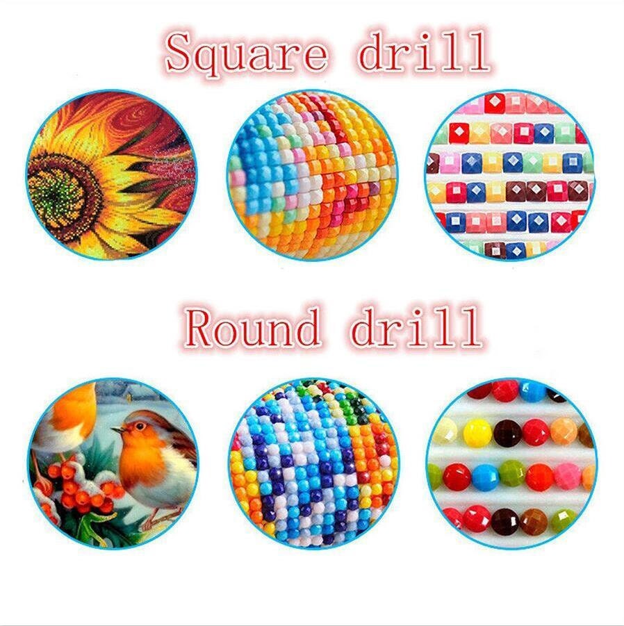 Full Square/Round Drill 5D Diamonds  Funny Cats Diamond Painting Kit – Diamond  Paintings Store