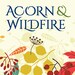 AcornAndWildfire