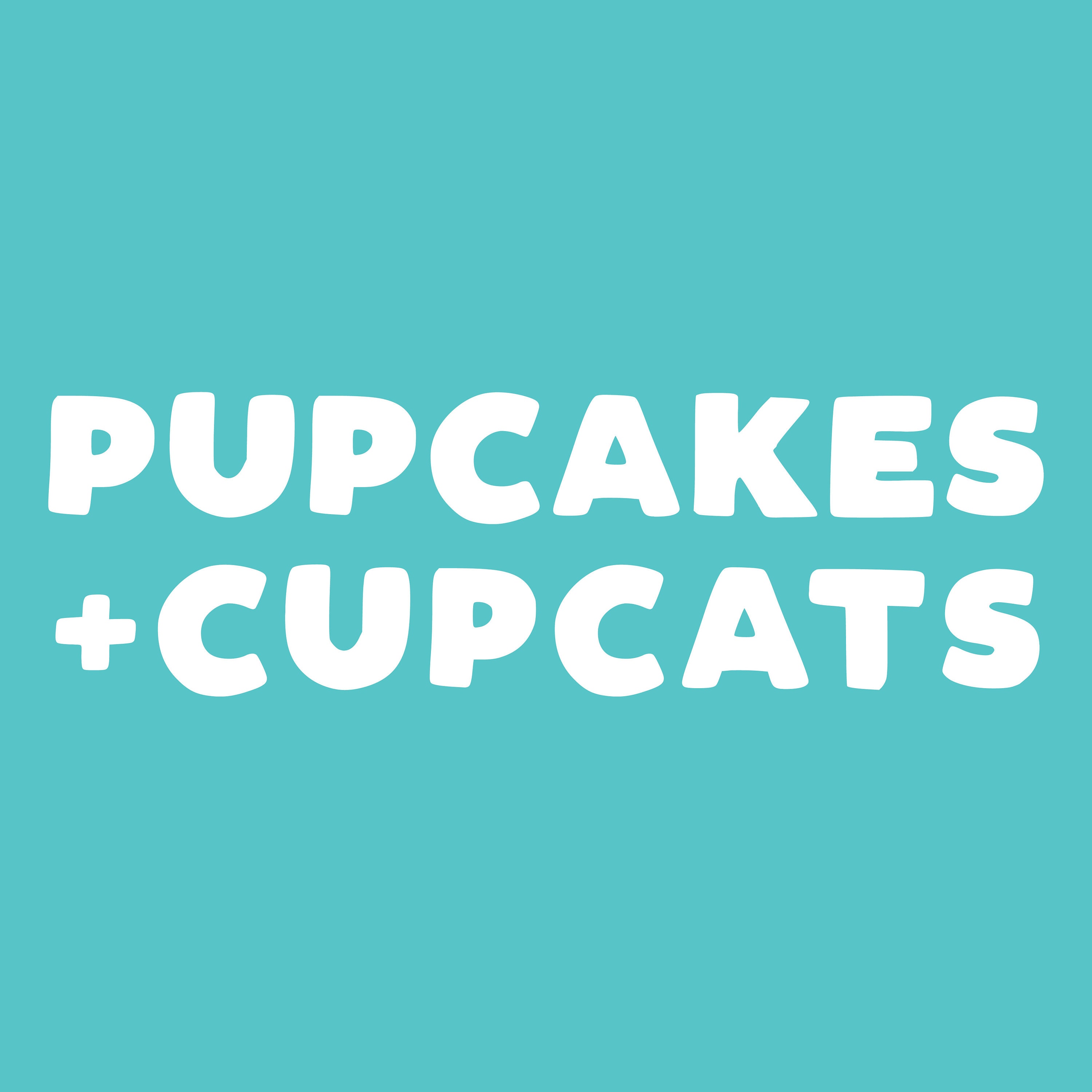 Cupcat pro. Cupcat.