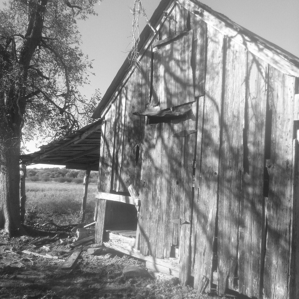 FarmfindsStudio Etsy