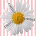 BeFRESHasaDaisy