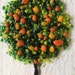 Orange Tree Glass