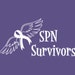 SPN Survivors