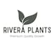 Rivera Plants