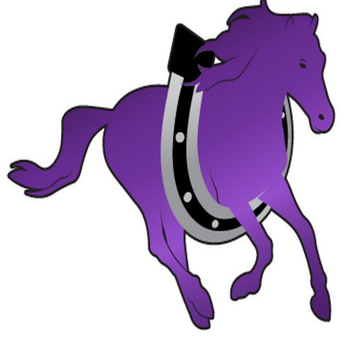 custom tail bolsas for horses