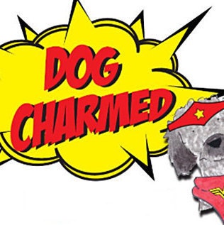 DogCharmed 