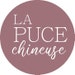 La puce chineuse