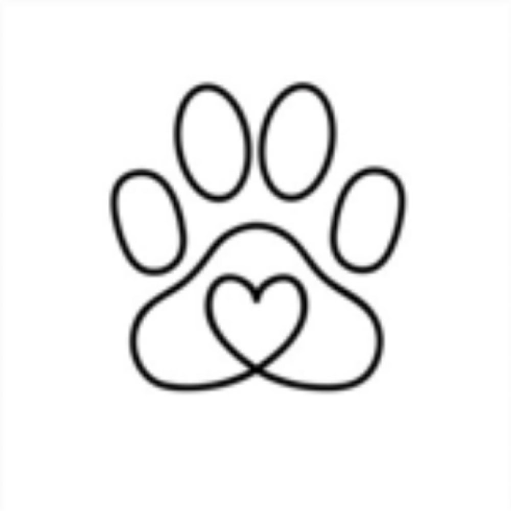 Кошачья лапка рисунок для детей