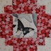 Cocopatch ORTILLON