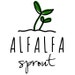 Avatar belonging to AlfalfaSprout