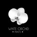 White Orchid