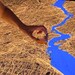 Cartographer