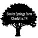shafersprings
