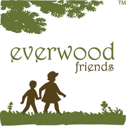 2 pack Flash Card Holders – Everwood Friends