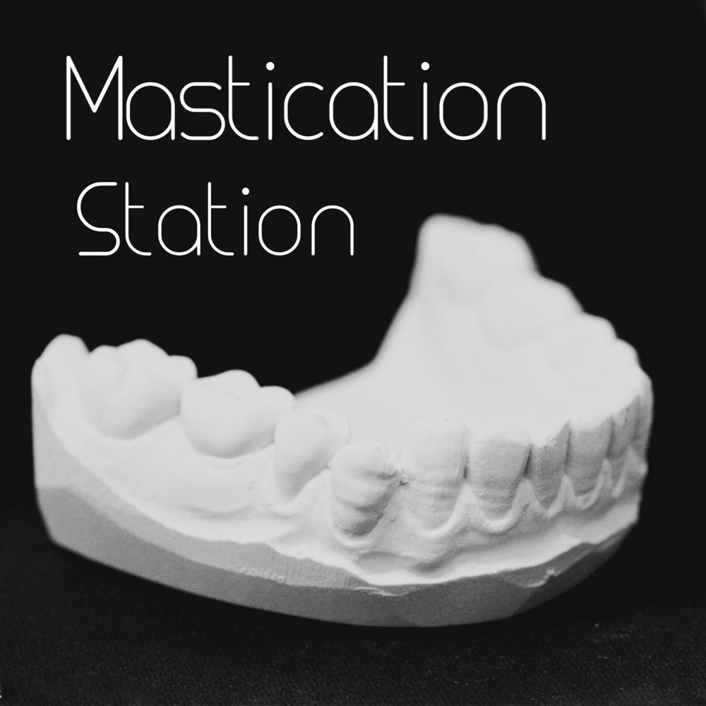 Гипсовая модель. Гипсовые модели челюстей. Гипсовая модель. Гипсовые модели челюстей. Разборная гипсовая модель.