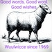 Micha Wuulwicce