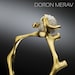 Doron Merav