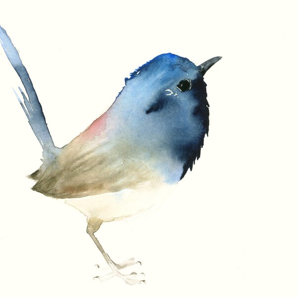 Watercolor Robin Bird Art Print Gardenbird Wall Art - Etsy