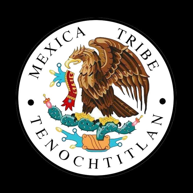 Rare Xipe Toltec Aztec Necklace 18 inches Mexico - Etsy Österreich
