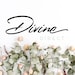 Divine Direct