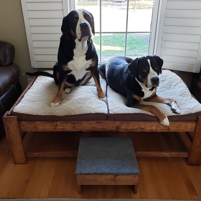 Qué Patas Pet Shop - Rampa de madera para mascotas. 🐶😍 ✓ Nuestras rampas  ayudan a su mascota a subir a camas, sofás y mucho más mientras les ayudan  a mantenerse seguros