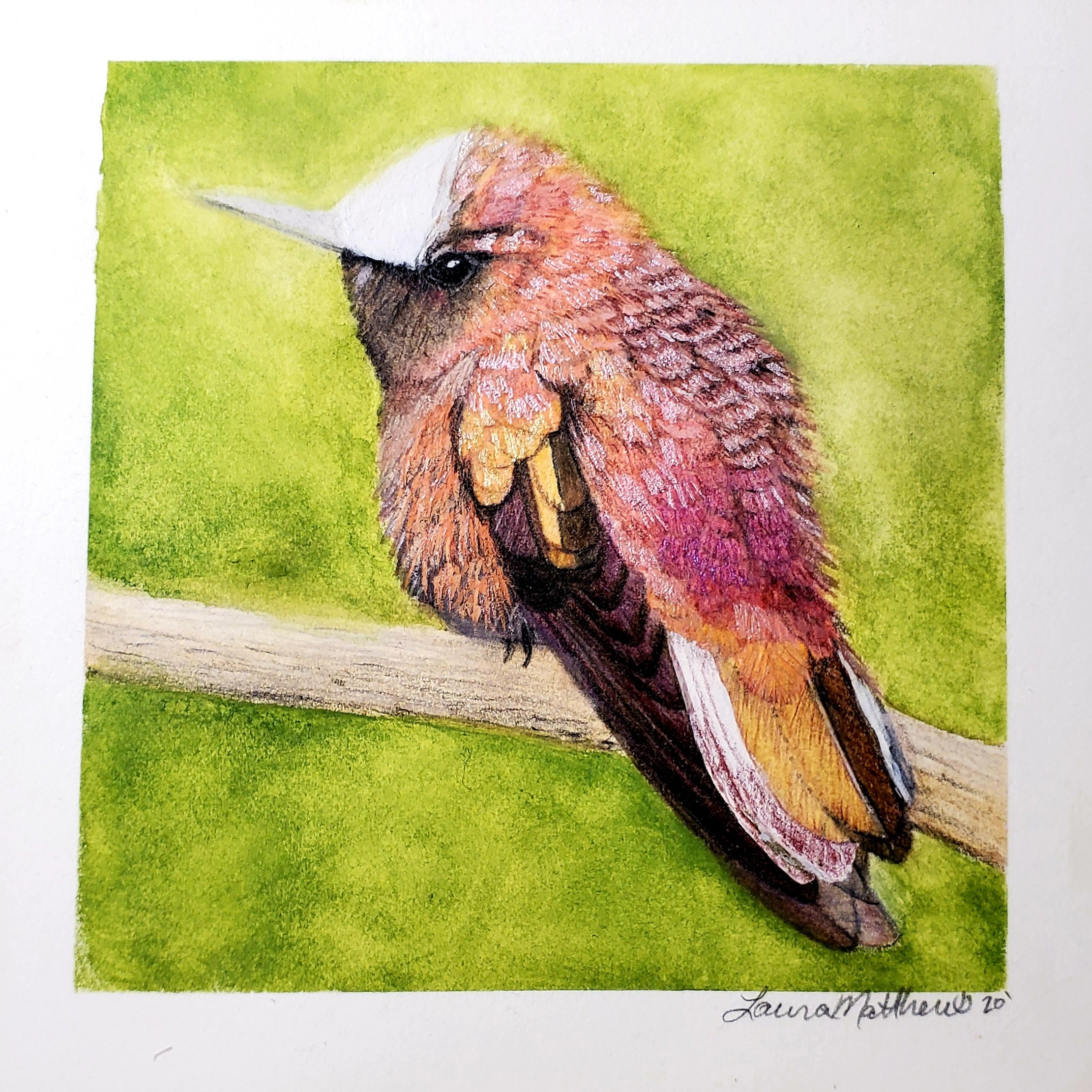 mixed media and paper scrapbooking and stamping. glittery Hummingbird shimmering handmade watercolor paint for painting