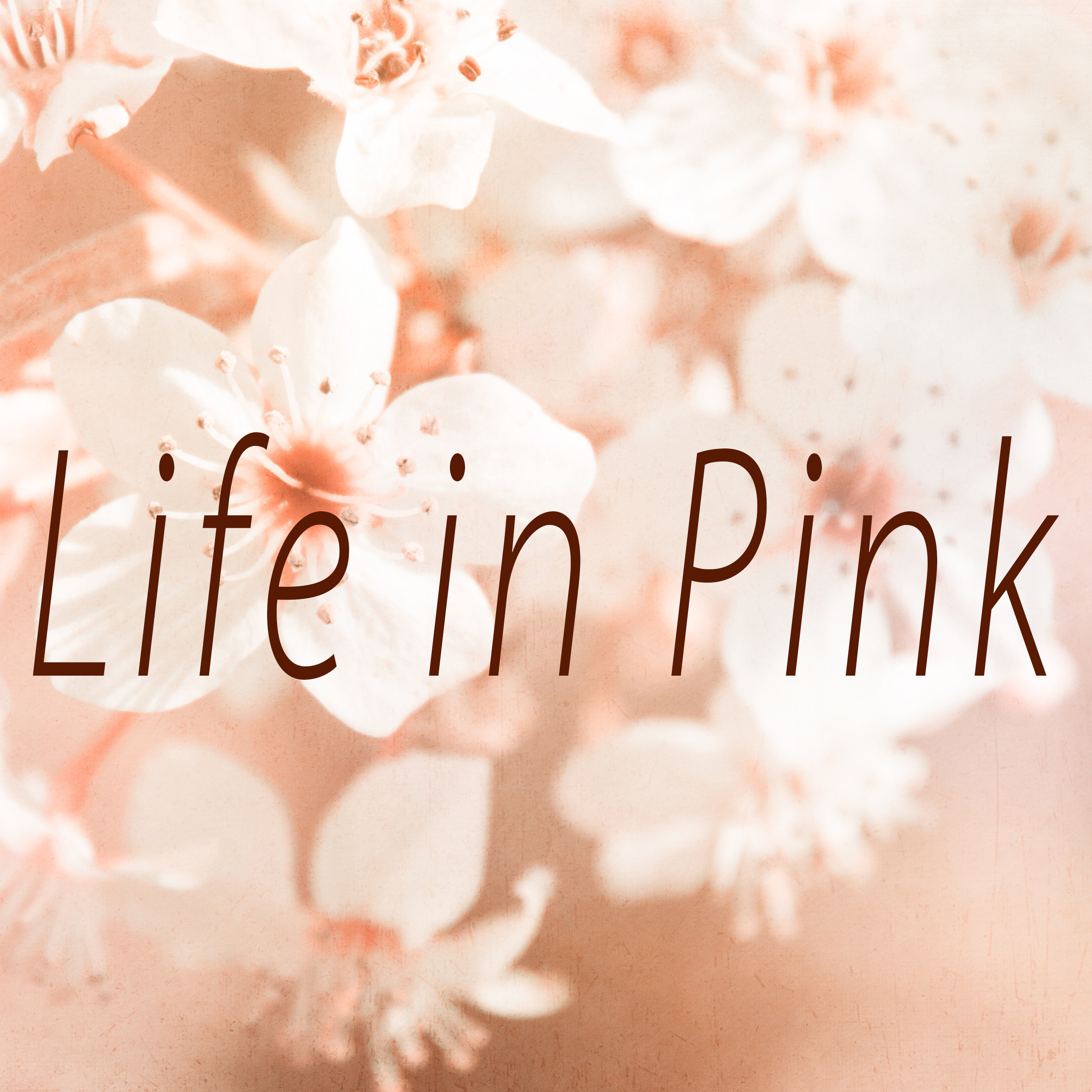LifeInPinkCrochet - Etsy India