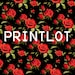 Printlot