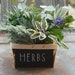 mountainlilyfarm shop avatar