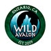 WildAvalon