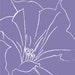 LunarLilies