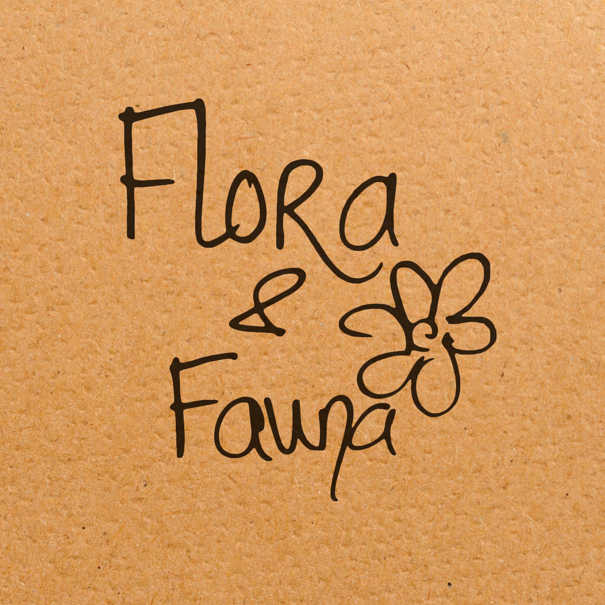 White Pine Needles For Tea Fresh Pine Needle Tea Organic Etsy Canada