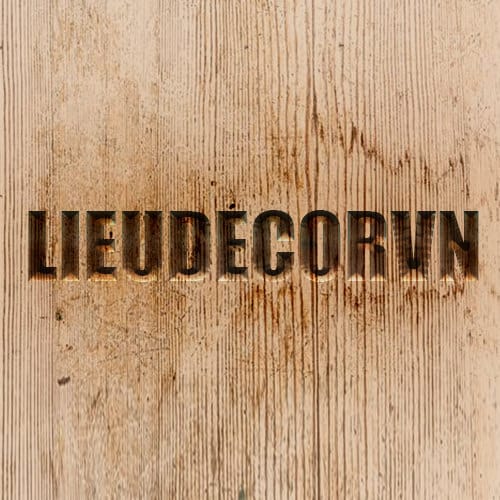 LieuDecorVN store logo