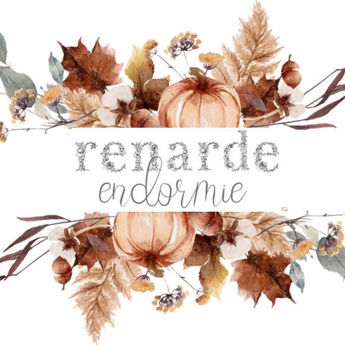 Renardeendormie store logo