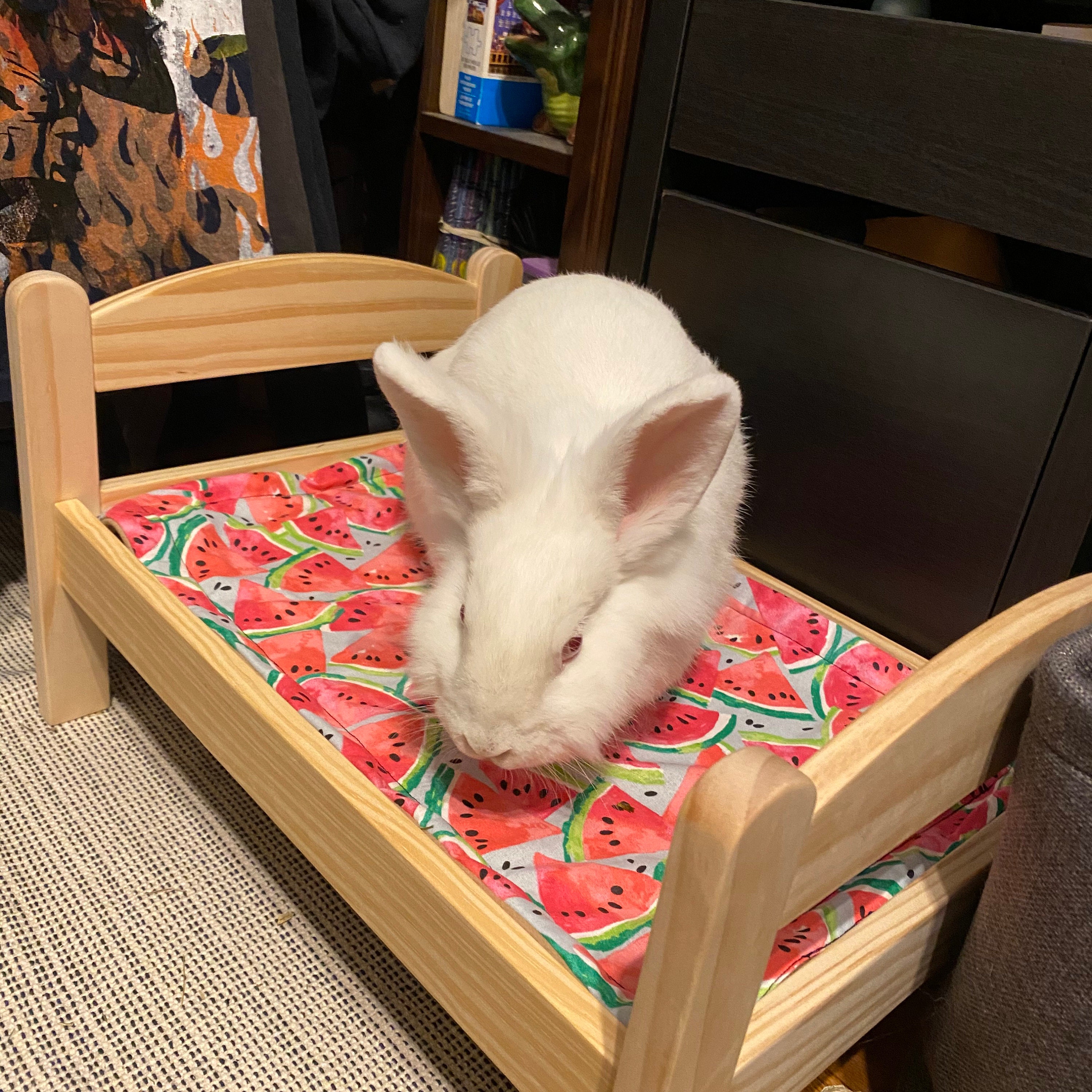 rosewood pet bunny fun tree