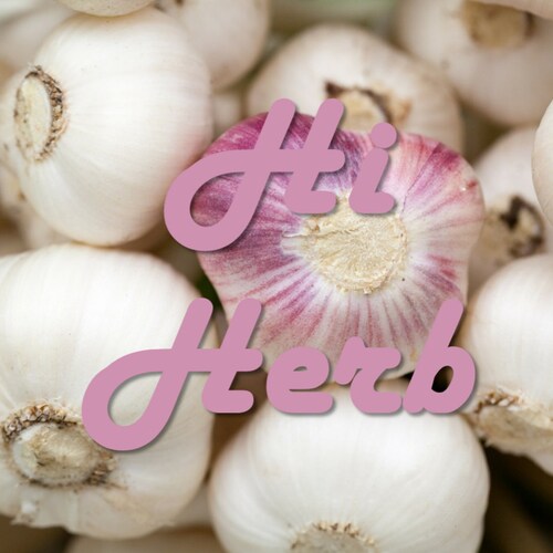 HiHerb store logo