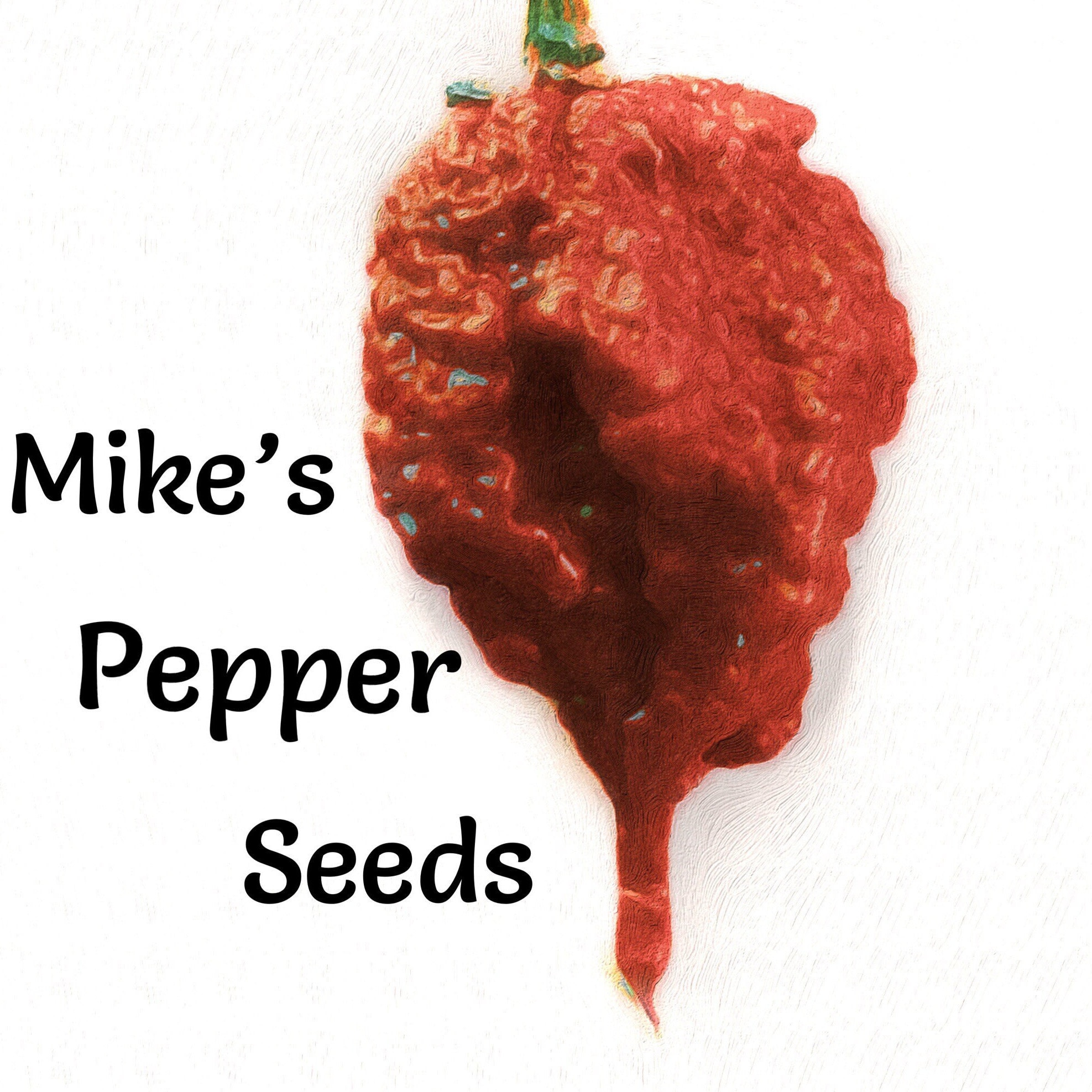 Reach Out (Tradução em Português) – Red Hot Chili Peppers